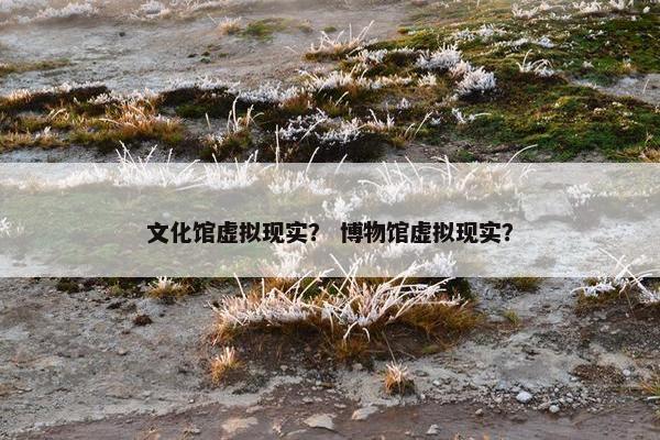 文化馆虚拟现实？ 博物馆虚拟现实？