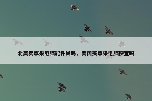 北美卖苹果电脑配件贵吗，美国买苹果电脑便宜吗