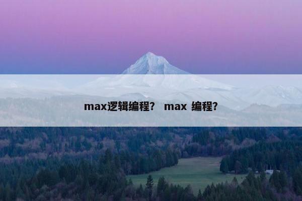max逻辑编程？ max 编程？