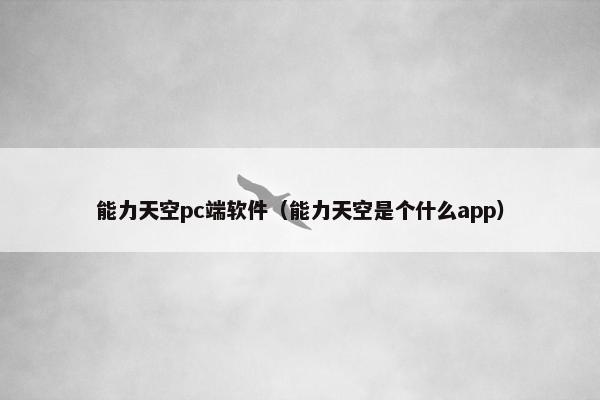 能力天空pc端软件（能力天空是个什么app）