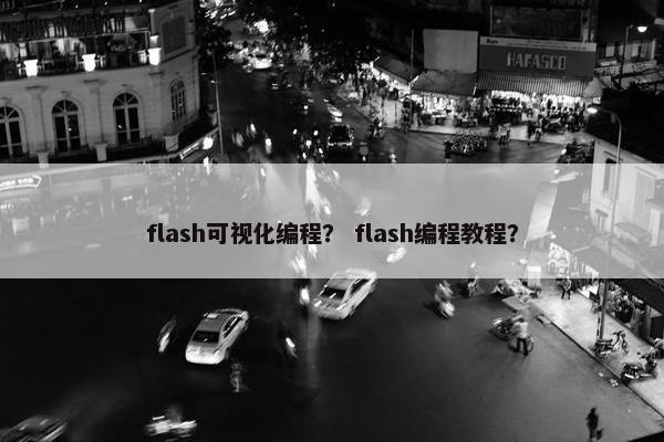 flash可视化编程？ flash编程教程？