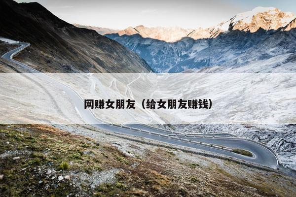 网赚女朋友（给女朋友赚钱）