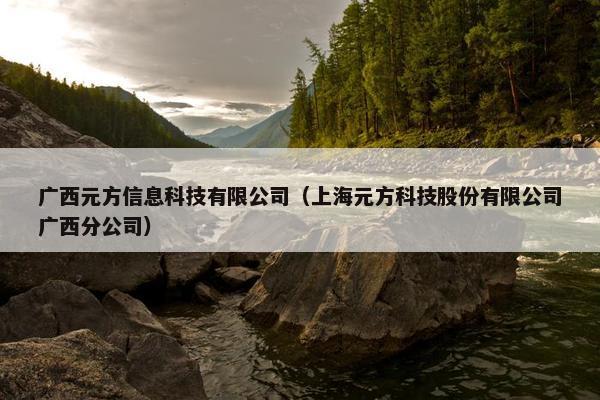 广西元方信息科技有限公司（上海元方科技股份有限公司广西分公司）