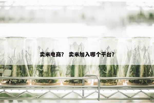 卖米电商？ 卖米加入哪个平台？