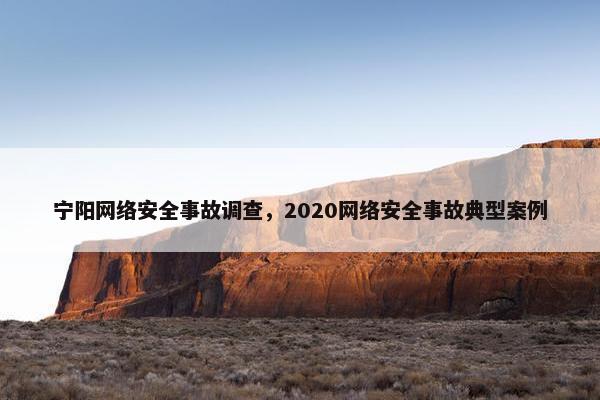 宁阳网络安全事故调查，2020网络安全事故典型案例
