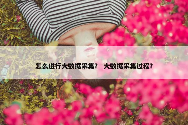 怎么进行大数据采集? 大数据采集过程? 怎么进行大数据采集? 大数据采集过程?