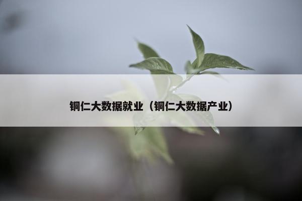 铜仁大数据就业（铜仁大数据产业）