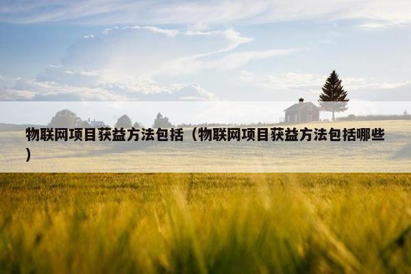 物联网项目获益方法包括（物联网项目获益方法包括哪些）