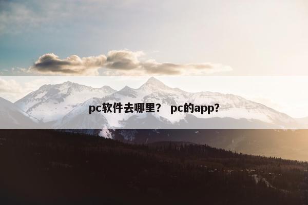 pc软件去哪里？ pc的app？