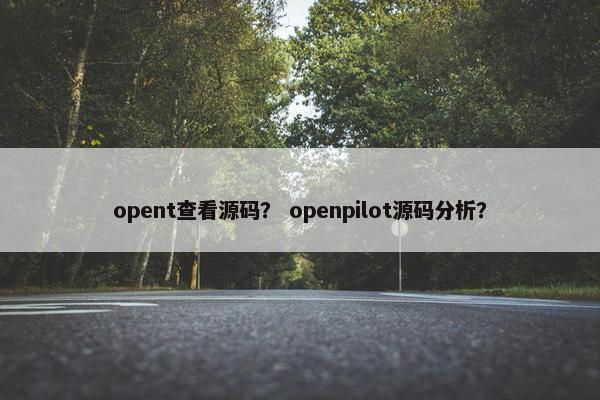opent查看源码？ openpilot源码分析？