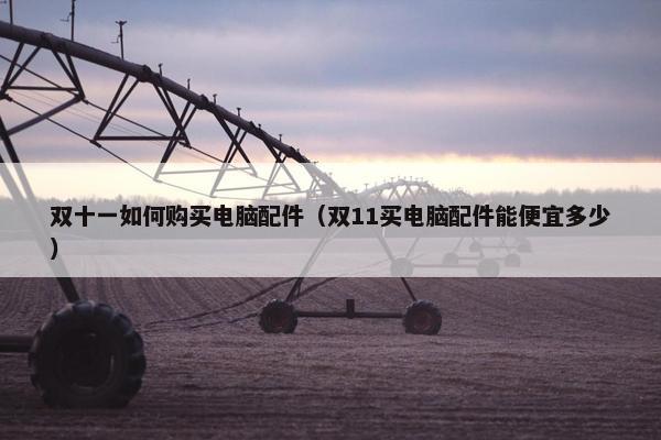 双十一如何购买电脑配件（双11买电脑配件能便宜多少）