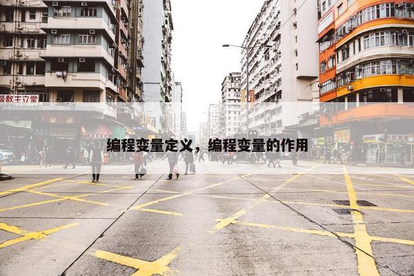 编程变量定义，编程变量的作用