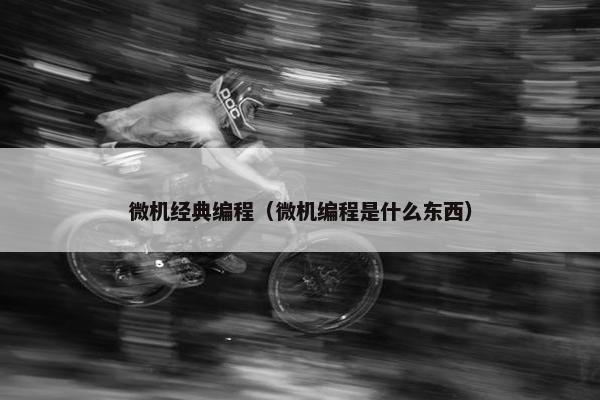 微机经典编程（微机编程是什么东西）
