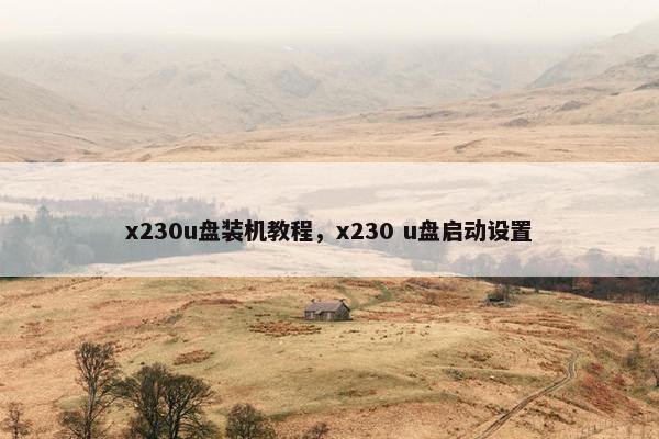 x230u盘装机教程，x230 u盘启动设置