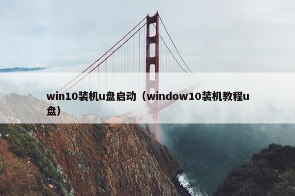 win10装机u盘启动（window10装机教程u盘）