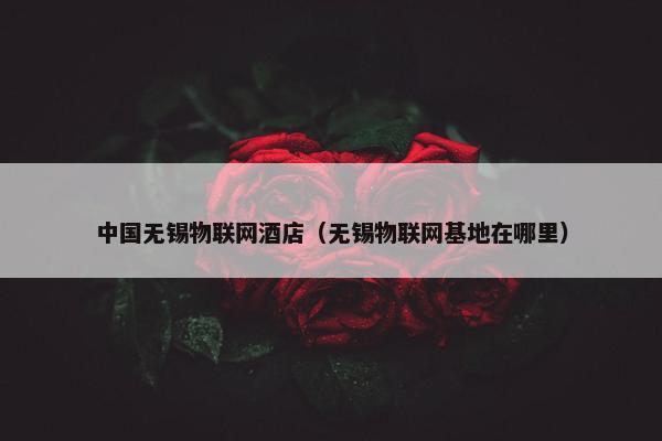 中国无锡物联网酒店（无锡物联网基地在哪里）