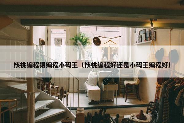 核桃编程猿编程小码王（核桃编程好还是小码王编程好）