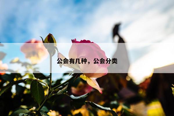 公会有几种，公会分类