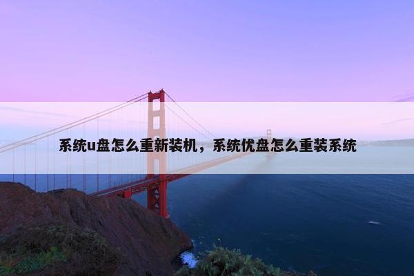 系统u盘怎么重新装机，系统优盘怎么重装系统