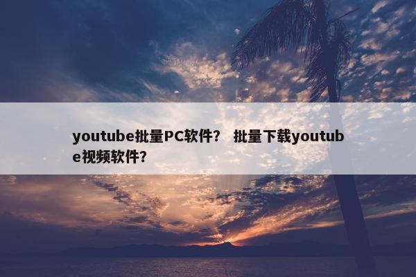 youtube批量PC软件？ 批量下载youtube视频软件？
