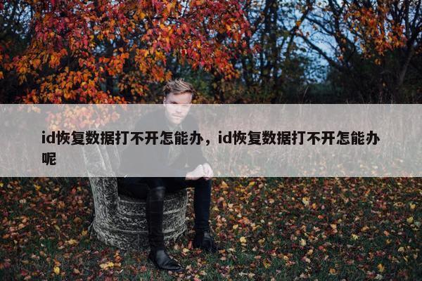 id恢复数据打不开怎能办，id恢复数据打不开怎能办呢