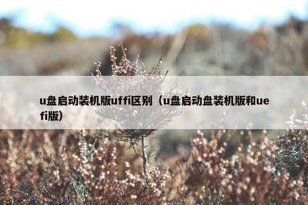 u盘启动装机版uffi区别（u盘启动盘装机版和uefi版）
