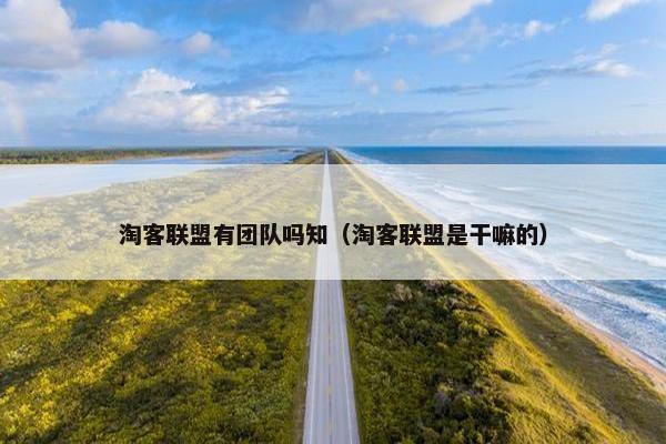 淘客联盟有团队吗知（淘客联盟是干嘛的）