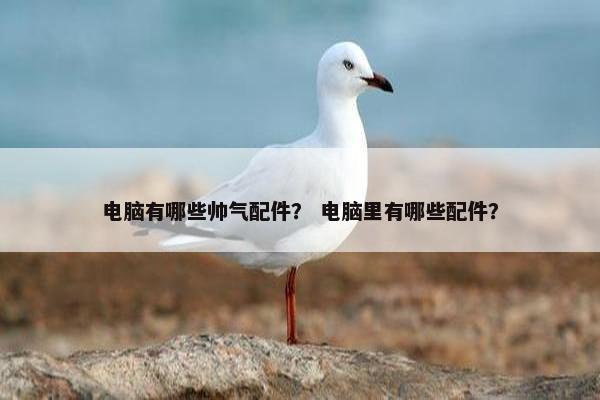 电脑有哪些帅气配件？ 电脑里有哪些配件？