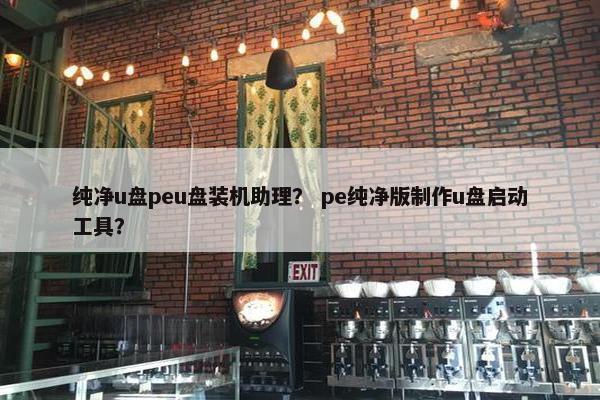 纯净u盘peu盘装机助理？ pe纯净版制作u盘启动工具？