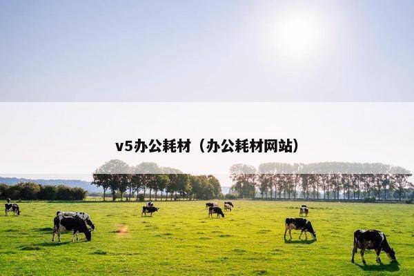 v5办公耗材（办公耗材网站）
