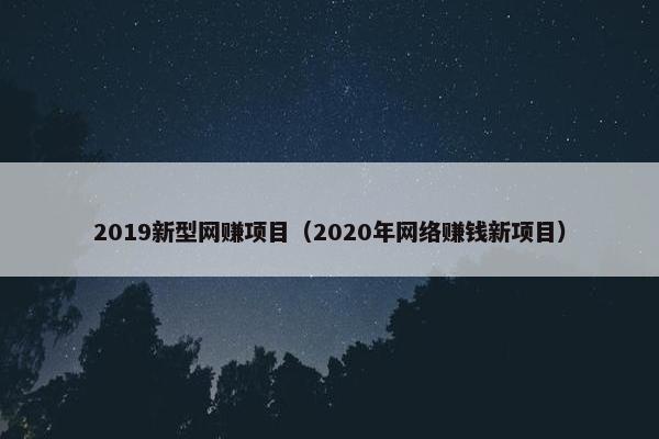 2019新型网赚项目（2020年网络赚钱新项目）
