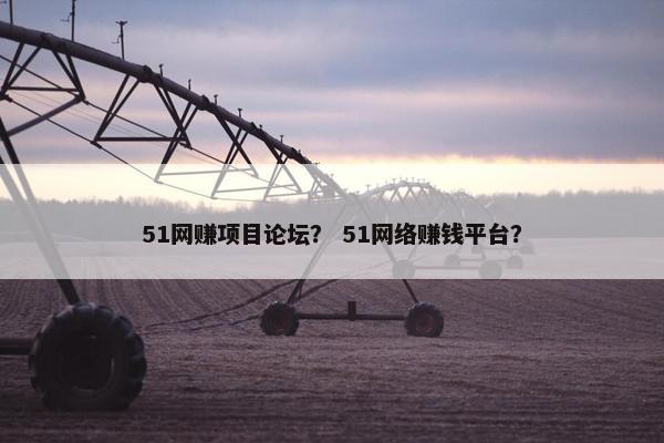 51网赚项目论坛？ 51网络赚钱平台？