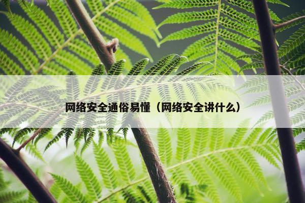 网络安全通俗易懂（网络安全讲什么）