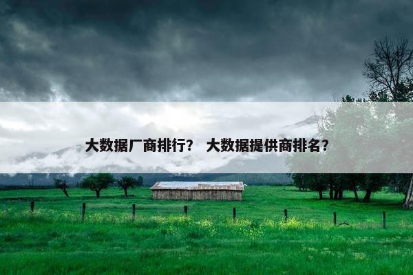 大数据厂商排行？ 大数据提供商排名？