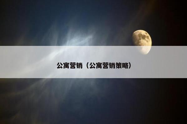 公寓营销（公寓营销策略）