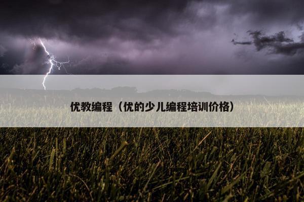 优教编程（优的少儿编程培训价格）
