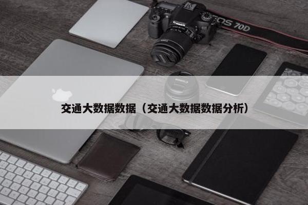 交通大数据数据（交通大数据数据分析）