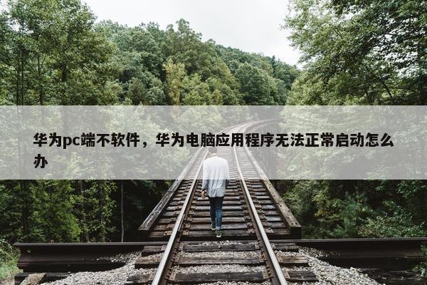 华为pc端不软件，华为电脑应用程序无法正常启动怎么办