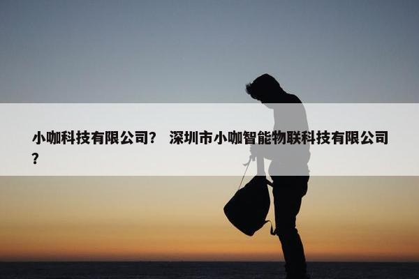 小咖科技有限公司？ 深圳市小咖智能物联科技有限公司？