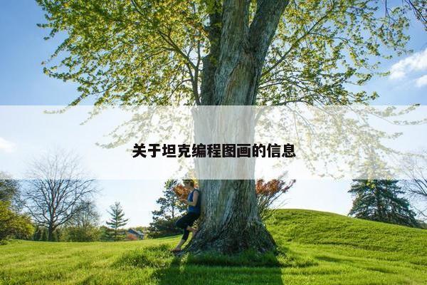 关于坦克编程图画的信息