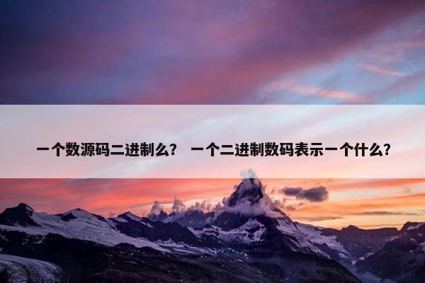一个数源码二进制么？ 一个二进制数码表示一个什么？