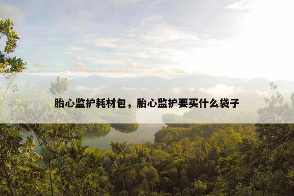 胎心监护耗材包，胎心监护要买什么袋子