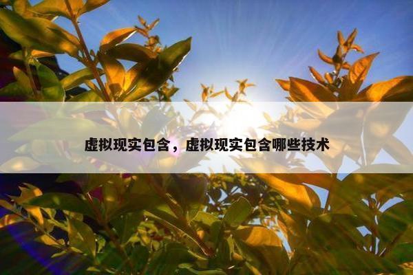 虚拟现实包含，虚拟现实包含哪些技术