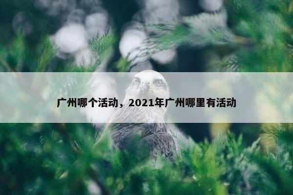 广州哪个活动，2021年广州哪里有活动