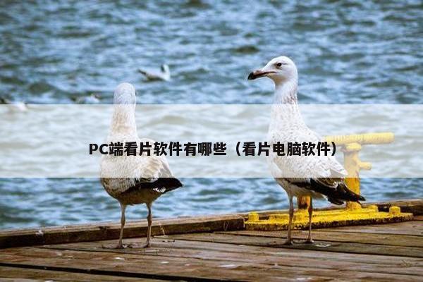 PC端看片软件有哪些（看片电脑软件）