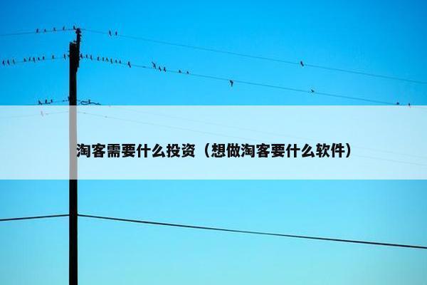 淘客需要什么投资（想做淘客要什么软件）