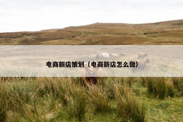 电商新店策划（电商新店怎么做）
