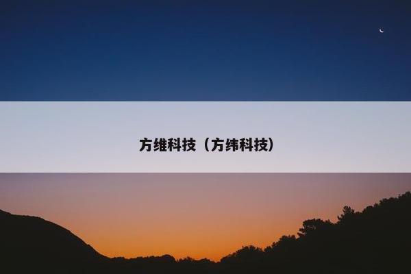 方维科技（方纬科技）
