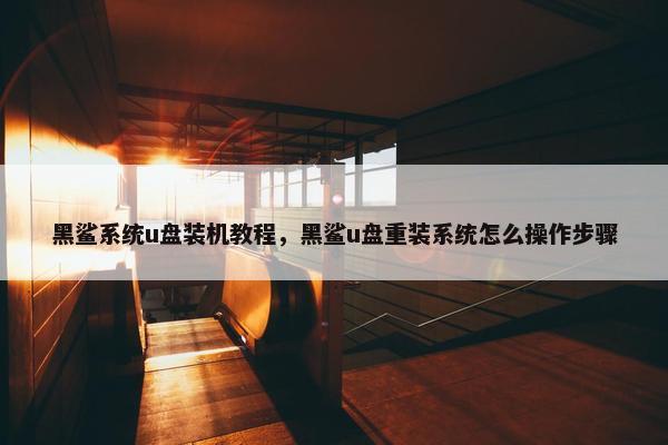 黑鲨系统u盘装机教程，黑鲨u盘重装系统怎么操作步骤
