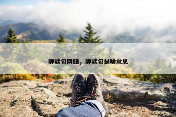 静默包网赚，静默包是啥意思